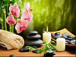 Pijat Panggilan Denpasar 24 Jam ~ Putri Spa. Putri Spa adalah sebuah komunitas jasa kebugaran online dengan pelayanan door to door, mempunyai misi untuk membantu kebugaran customer. Ada bermacam -macam jasa pelayanan di Putri Spamulai dari pijat panggilan tradisional, massage full body, teraphis kesehatan, dan