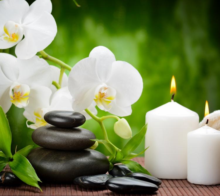 Pijat Panggilan Jogja 24 Jam Daerah Istimewa Yogyakarta ~ Putri Spa. Putri Spa adalah sebuah komunitas jasa kebugaran online dengan pelayanan door to door, mempunyai misi untuk membantu kebugaran customer. Ada bermacam -macam jasa pelayanan di Putri Spamulai dari pijat panggilan tradisional, massage full body, teraphis kesehatan, dan