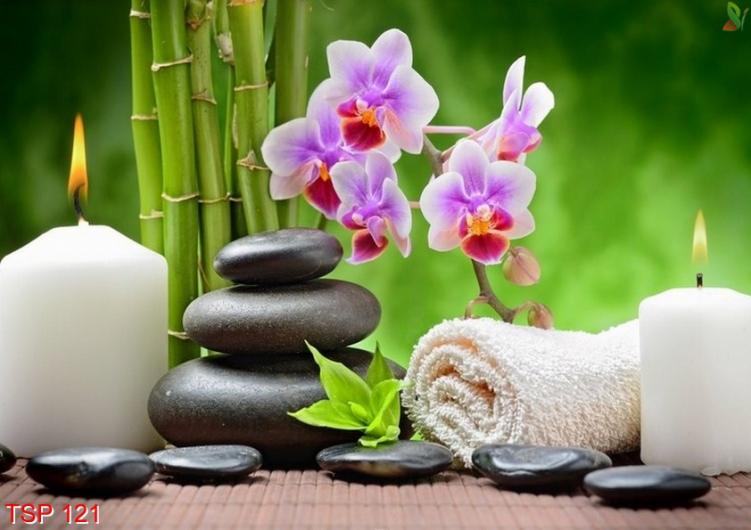 Pijat Panggilan Kelapa Gading ~ Putri Spa. Putri Spa adalah sebuah komunitas jasa kebugaran online dengan pelayanan door to door, mempunyai misi untuk membantu kebugaran customer. Ada bermacam -macam jasa pelayanan di Putri Spamulai dari pijat panggilan tradisional, massage full body, teraphis kesehatan, dan